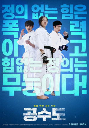 공수도 poszter