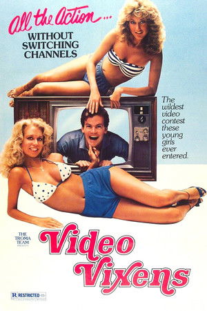 Video Vixens! poszter