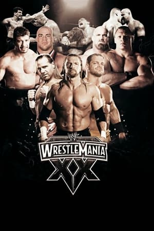 WWE WrestleMania XX poszter