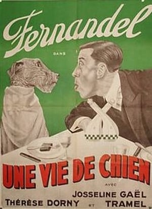 Une vie de chien