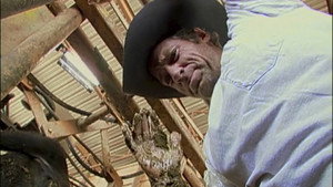 Dirty Jobs 2. évad Ep.1 1. epizód