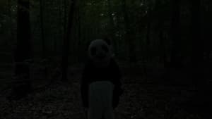 The Wild Panda háttérkép