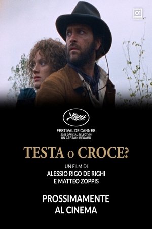 Testa o croce? poszter