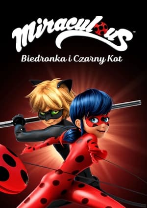 Miraculous - Katicabogár és Fekete Macska kalandjai poszter