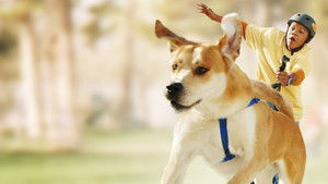Life Is Ruff háttérkép