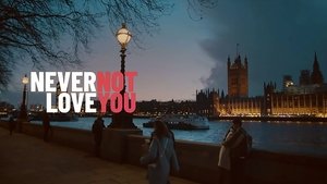 Never Not Love You háttérkép