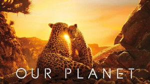 Our Planet – Bolygónk csodái kép