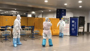 My Quarantine Bear háttérkép