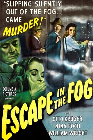 Escape in the Fog poszter