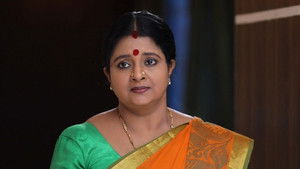 சின்னதம்பி Season 1 Ep.190 190. epizód
