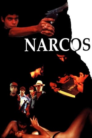 Narcos poszter