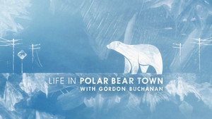 Life in Polar Bear Town with Gordon Buchanan háttérkép