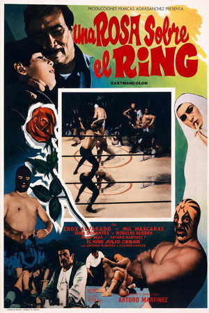 Una rosa sobre el ring poszter