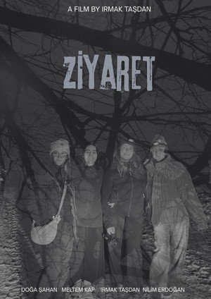 Ziyaret poszter