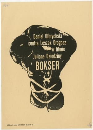 Bokser poszter