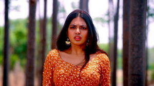 అహ నా పెళ్ళంట kép
