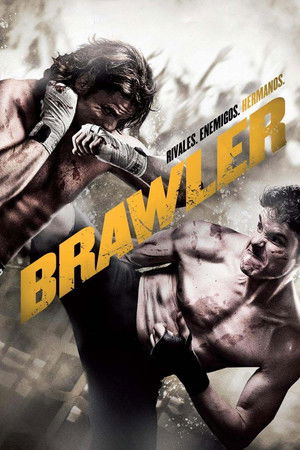 Brawler poszter
