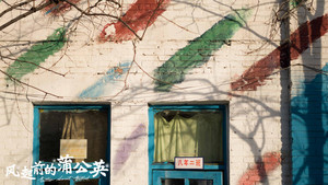 风起前的蒲公英 háttérkép