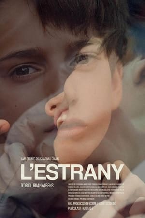 L'estrany poszter