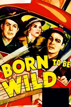 Born to Be Wild poszter