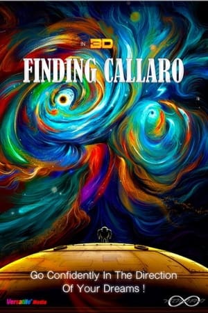 Finding Callaro poszter