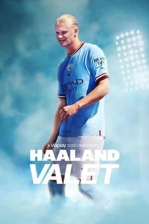 Haaland: Valget poszter