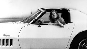 Joan Didion: The Center Will Not Hold háttérkép