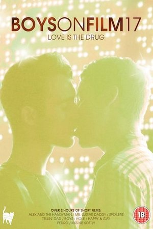 Boys On Film 17: Love Is the Drug poszter