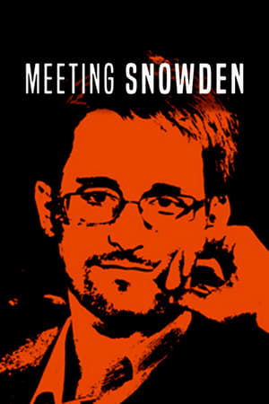 Meeting Snowden poszter