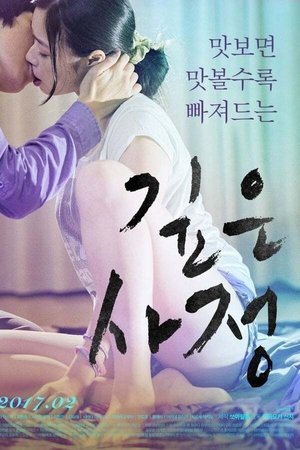 契約結婚 poszter