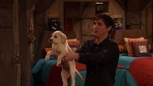 Pair of Kings 2. évad Ep.25 25. epizód