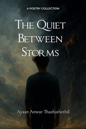 The Quiet Between Storms poszter