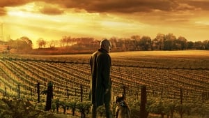 Star Trek: Picard kép