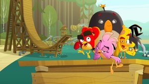 Angry Birds: Nyári őrület kép