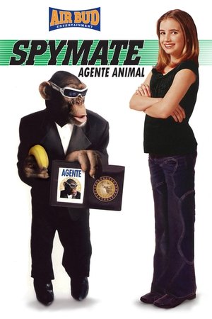 Minkey, a kémmajom poszter