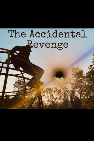 The Accidental Revenge poszter