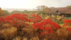 Five Seasons: The Gardens of Piet Oudolf háttérkép