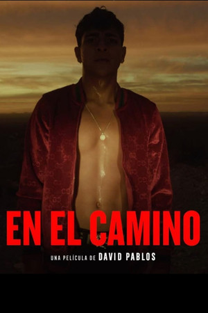 En el camino poszter