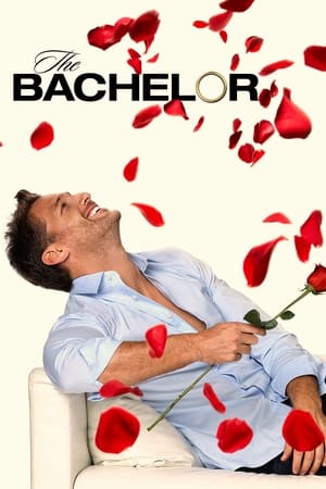 The Bachelor