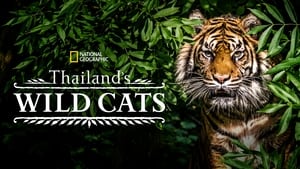 Thailand's Wild Cats háttérkép