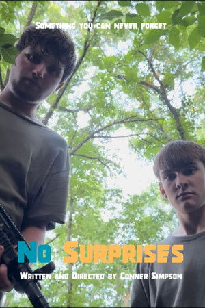 No Surprises poszter
