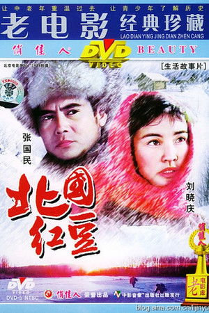 北国红豆 poszter