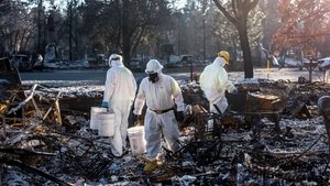 2018/11/8 - A kaliforniai nagy tűz nyomában háttérkép