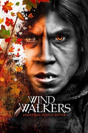 Wind Walkers poszter