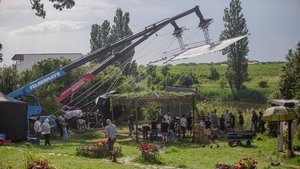 Cravata galbenă háttérkép