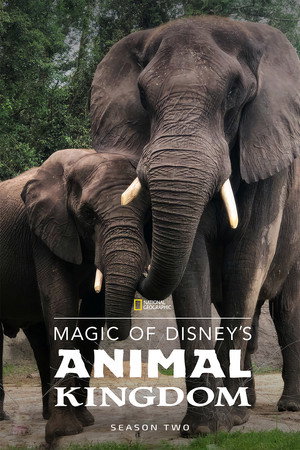 Magic of Disney's Animal Kingdom