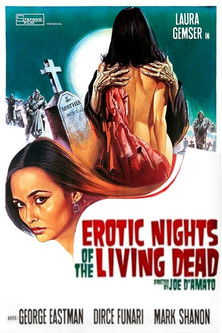 Egy erotikus éjszaka a zombikkal poszter
