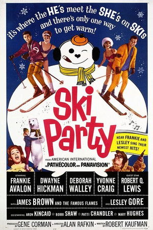 Ski Party poszter