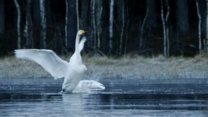 Tuulte tahutud maa háttérkép