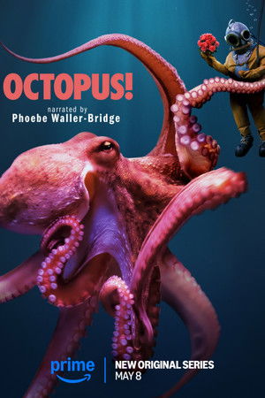 Octopus! poszter